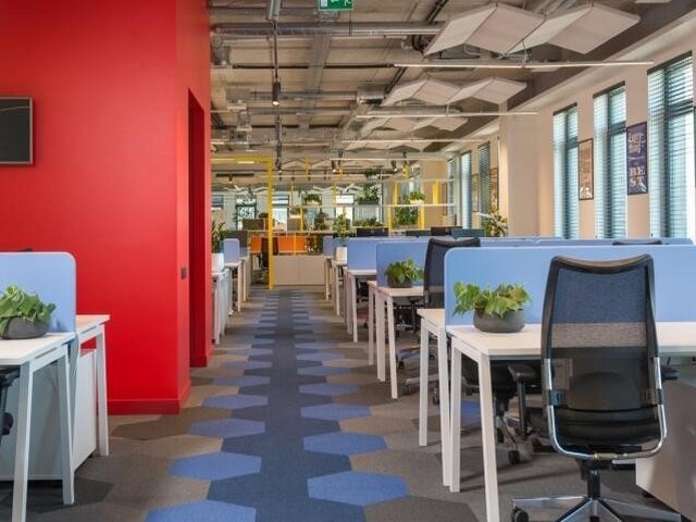 工厂园林绿化养护业务咨询