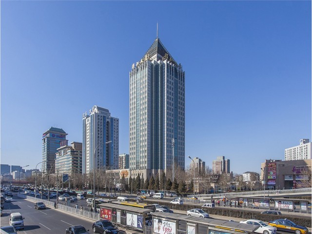 石家庄水果苗新品种树有哪些品种