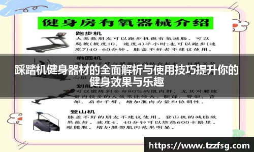 踩踏机健身器材的全面解析与使用技巧提升你的健身效果与乐趣